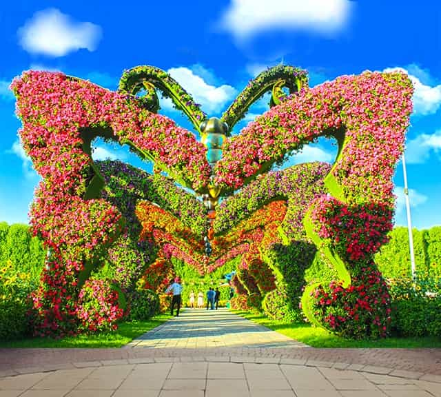 Butterfly Passage at Dubai Miracle Garden By VisaDekho