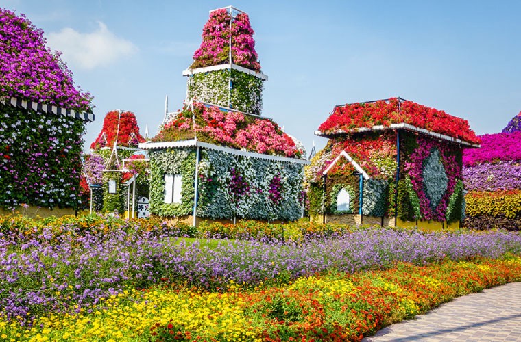 Dubai Miracle Garden Lost paradise by VisaDekho