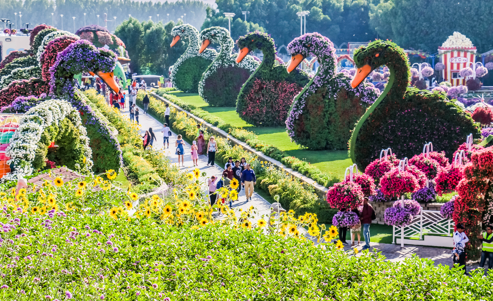 Floral Design at Dubai Miracle Garden By VisaDekho