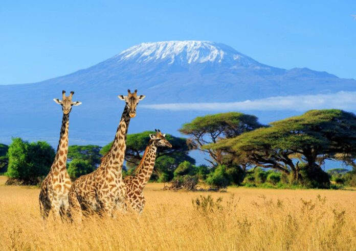 Travel to Kenya