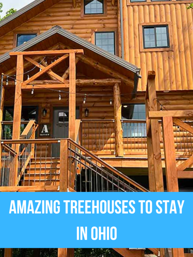 Amazing treehouses to stay in Ohio