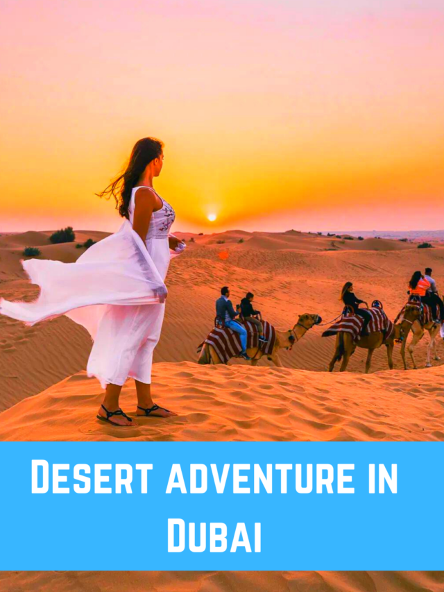 Desert adventure in Dubai