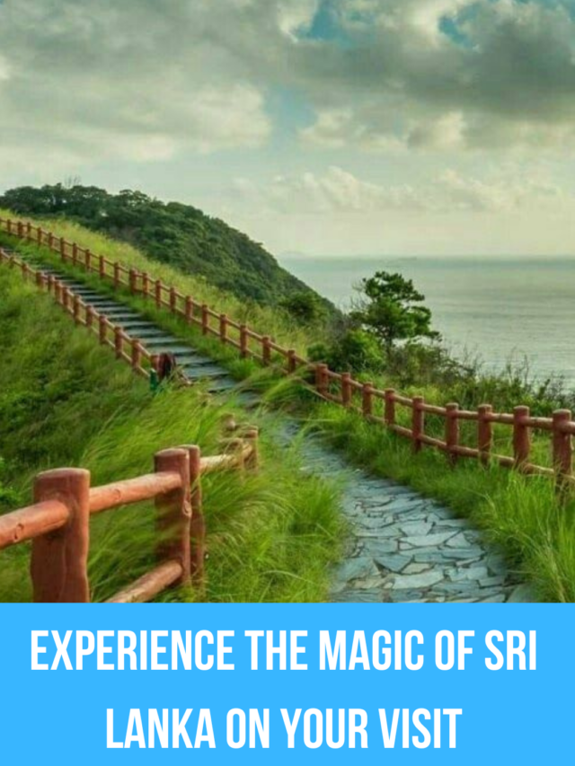 Experience the magic of Sri Lanka on your visit