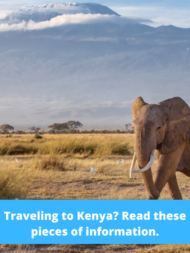 Traveling to Kenya? Read these pieces of information.