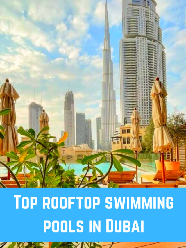 Top rooftop swimming pools in Dubai